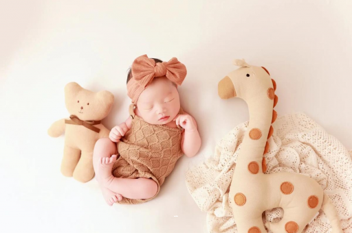 泗阳宝宝虾的做法